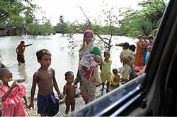 Sunderban in West Bengal