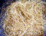 Coconut natural fibre